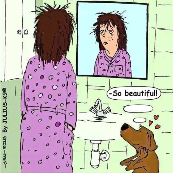 Meet your Posher, Sara - Picture 3 of 3